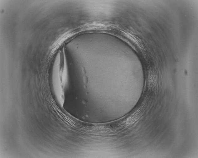 X0000059781455200511111457