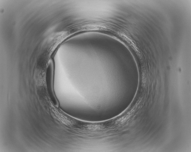 X0000059781465200511111457