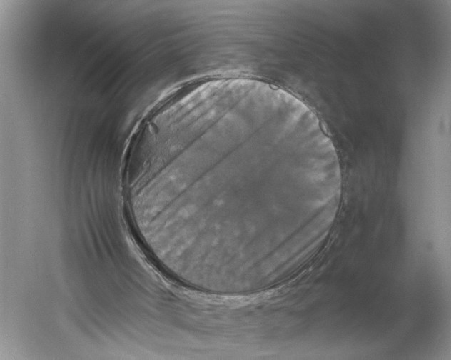 X0000059780002200511181434