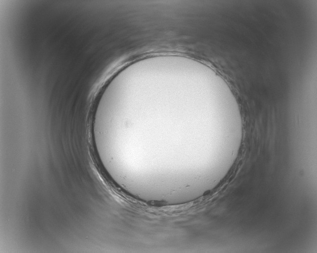 X0000059780005200511181434