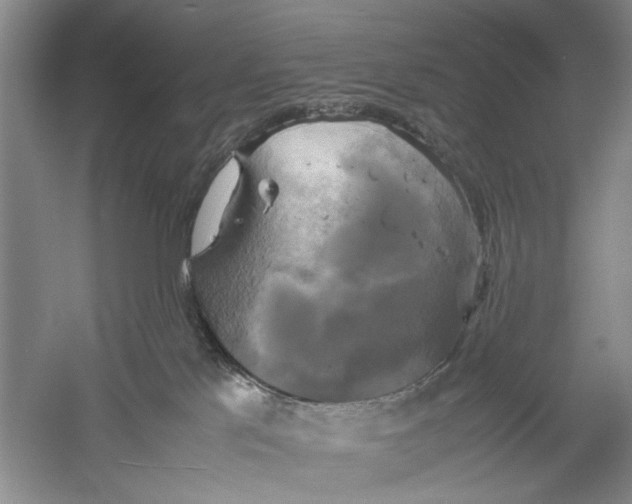 X0000059780041200511181433