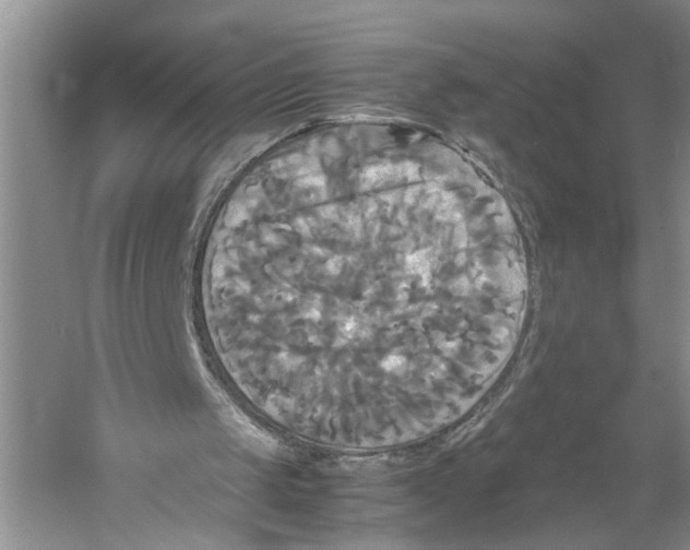 X0000059780049200511181432