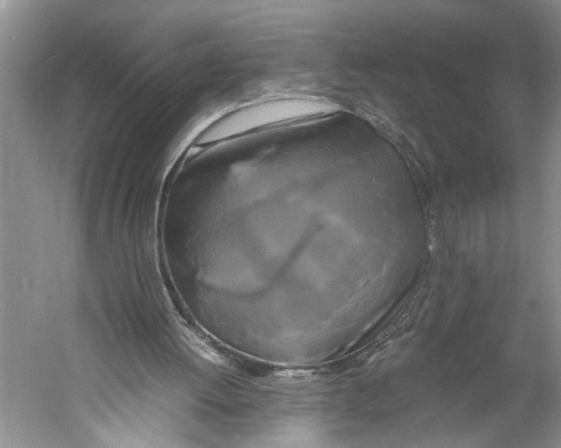 X0000059780052200511181432