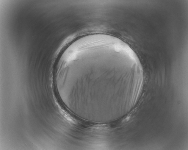 X0000059780054200511181432