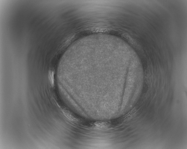 X0000059780070200511181433