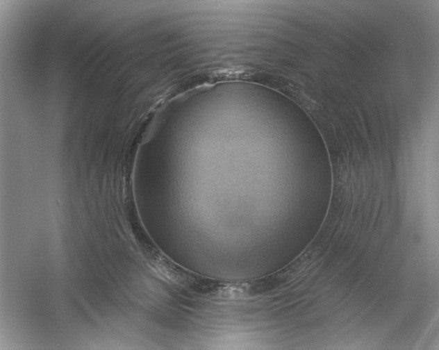 X0000059780080200511181433