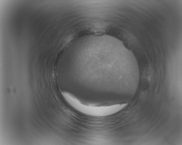 X0000059780084200511181433