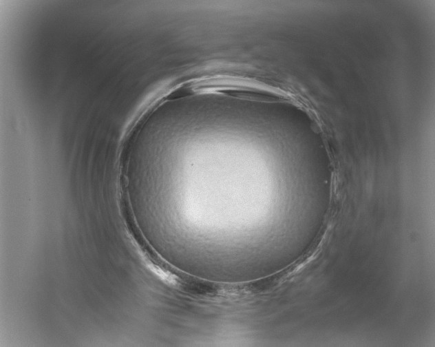 X0000059780101200511181432