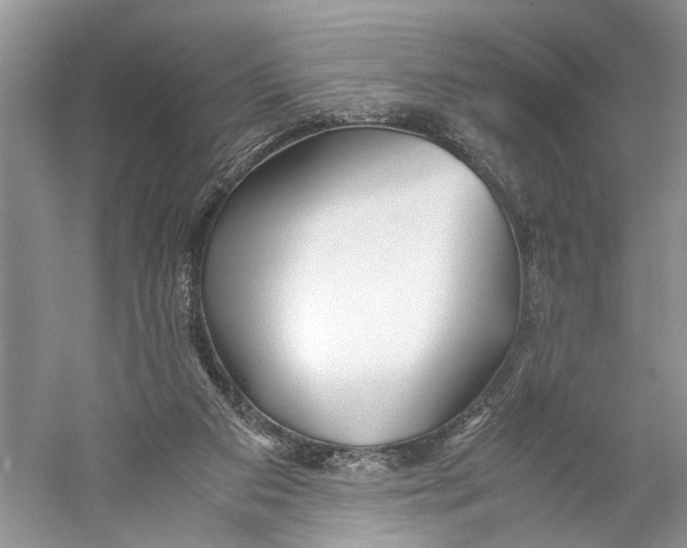 X0000059780113200511181432