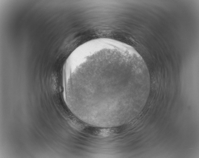 X0000059780130200511181432