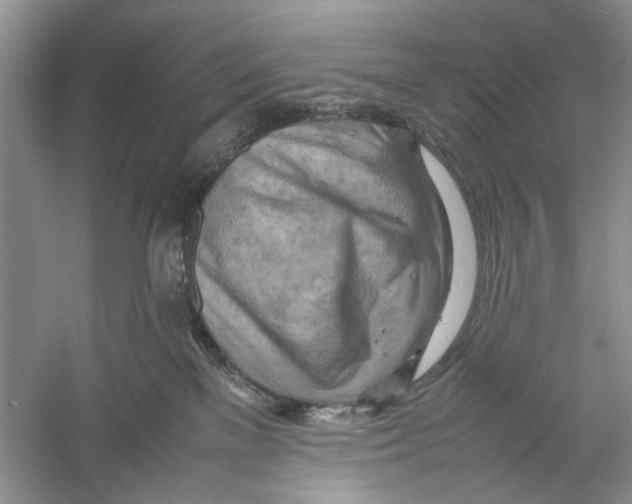 X0000059780137200511181431