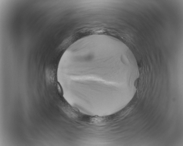 X0000059780139200511181431