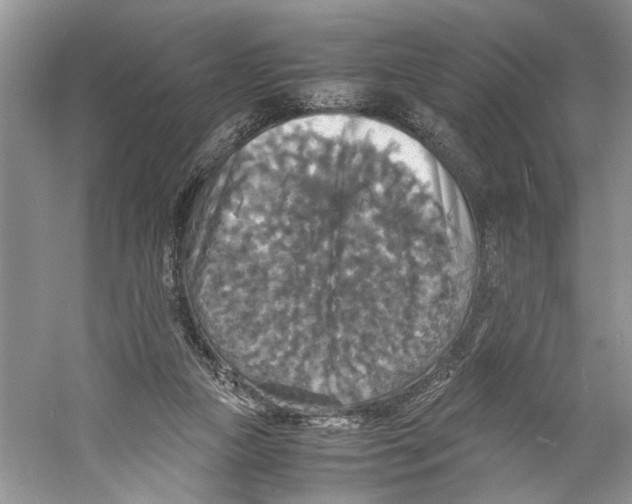 X0000059780161200511181431