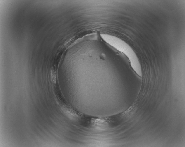 X0000059780180200511181431