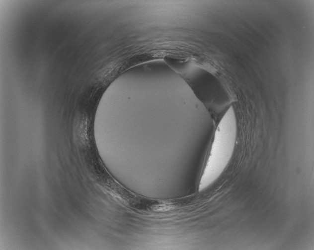 X0000059780219200511181430