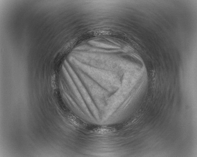 X0000059780224200511181430