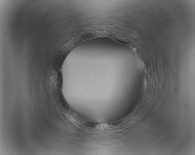 X0000059780231200511181429