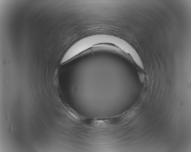 X0000059780239200511181429