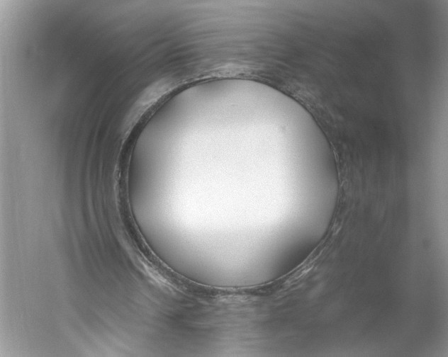 X0000059780242200511181429