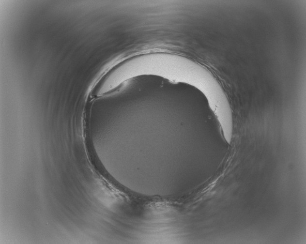 X0000059780244200511181429