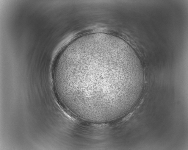 X0000059780245200511181429