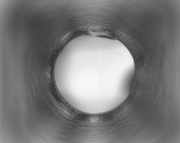 X0000059780264200511181429