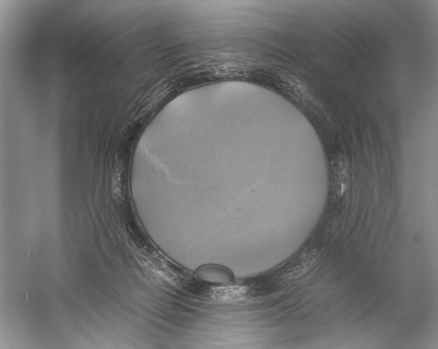 X0000059780266200511181429