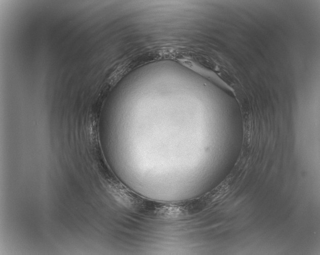 X0000059780276200511181429