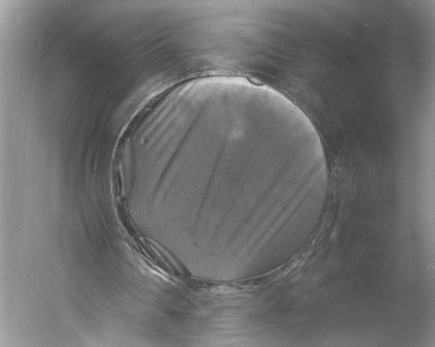 X0000059780290200511181428