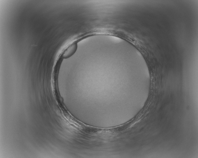 X0000059780294200511181428