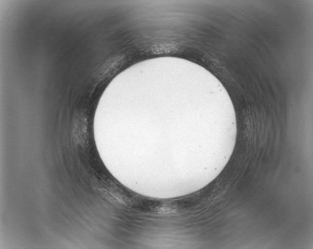 X0000059780308200511181428
