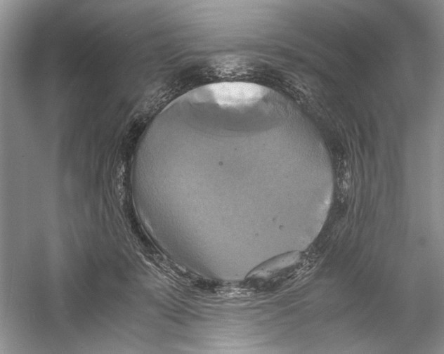 X0000059780319200511181428