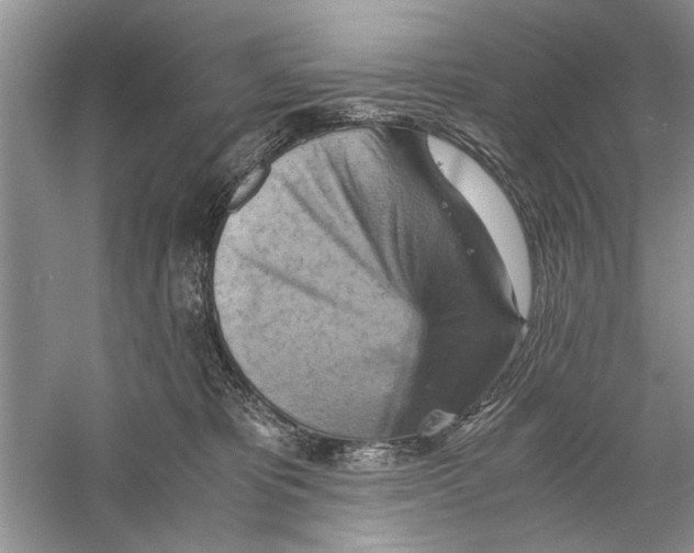 X0000059780325200511181428