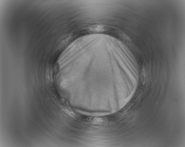 X0000059780330200511181428