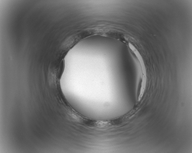 X0000059780333200511181428