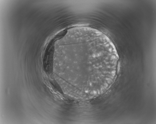 X0000059780337200511181427