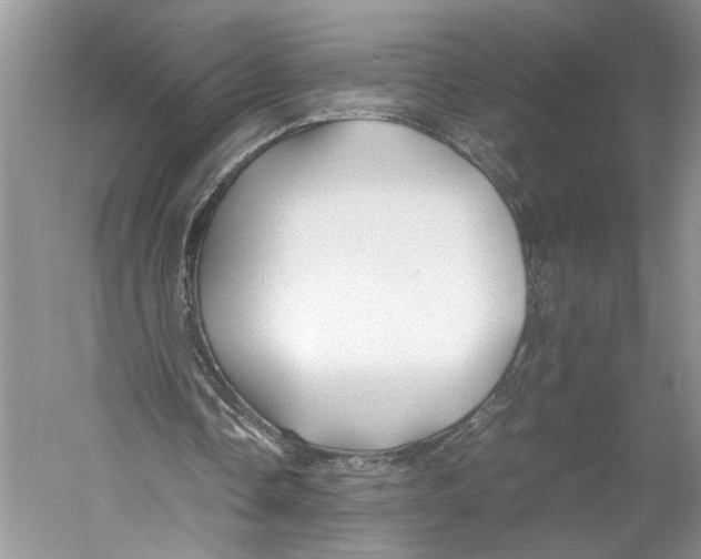 X0000059780338200511181427