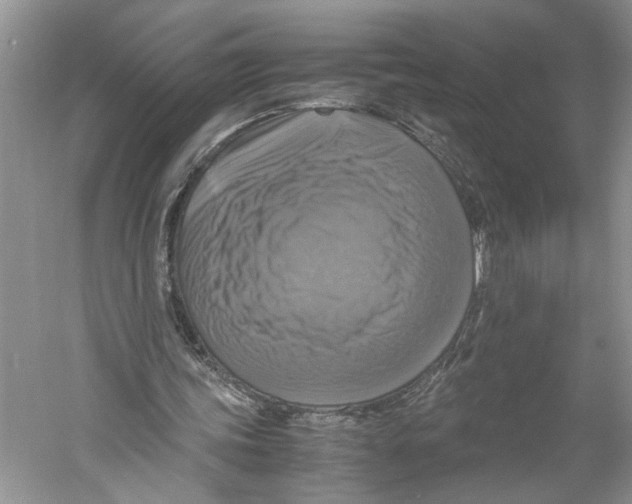 X0000059780339200511181427