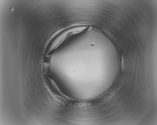 X0000059780348200511181427