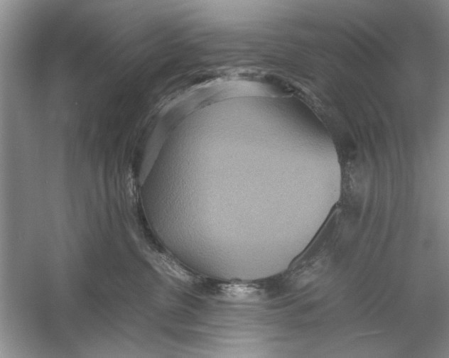 X0000059780380200511181428