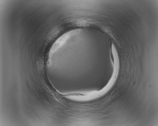 X0000059780407200511181427