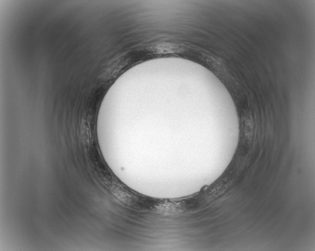 X0000059780422200511181426