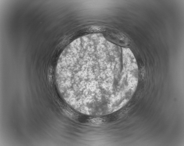 X0000059780423200511181426