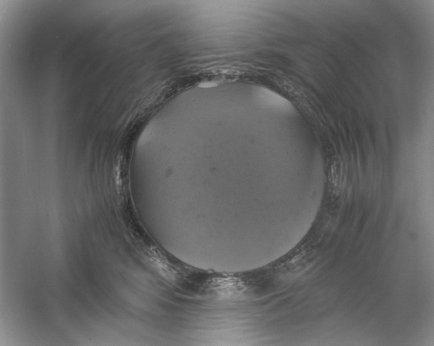 X0000059780424200511181426