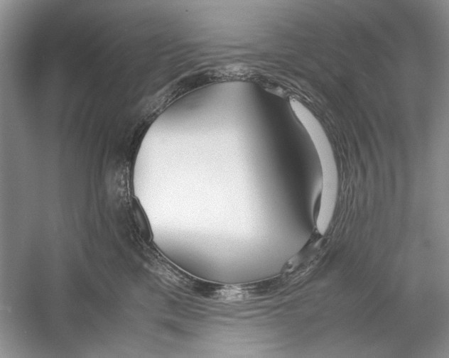 X0000059780425200511181426