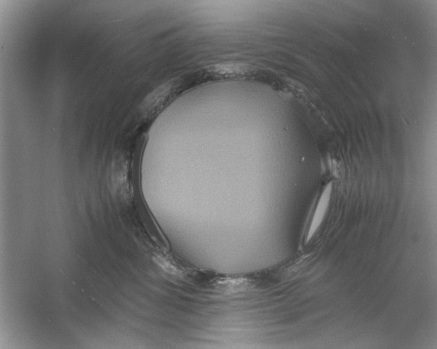X0000059780428200511181426