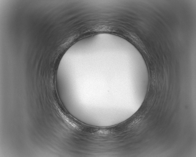 X0000059780441200511181425