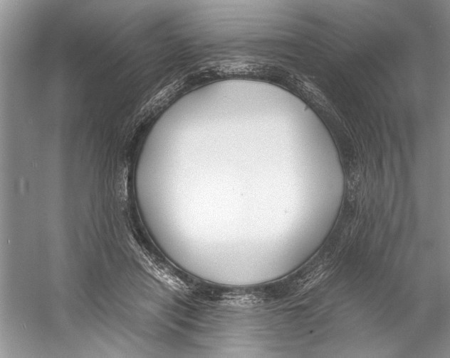 X0000059780454200511181426