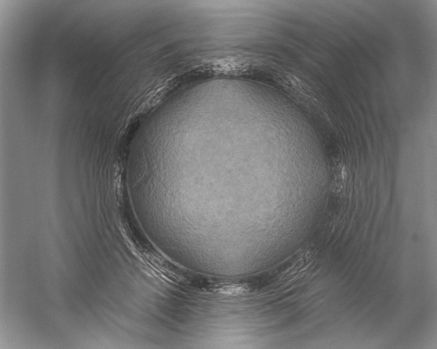 X0000059780456200511181426