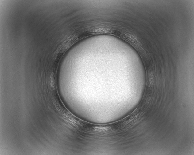 X0000059780457200511181426